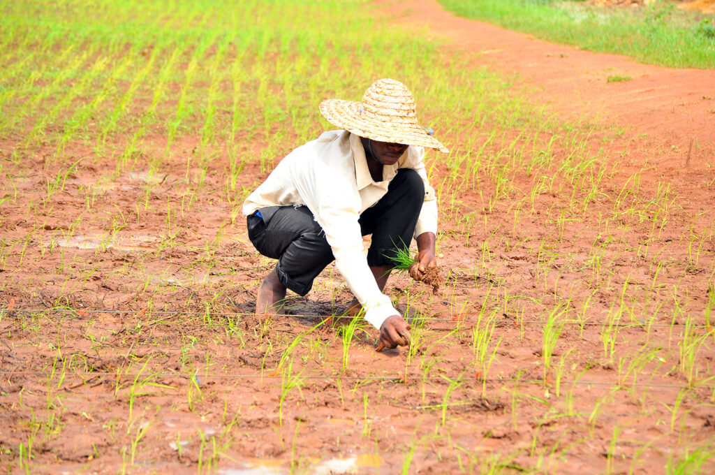 Credit guarantee funds are quietly reshaping Africa’s financial landscape