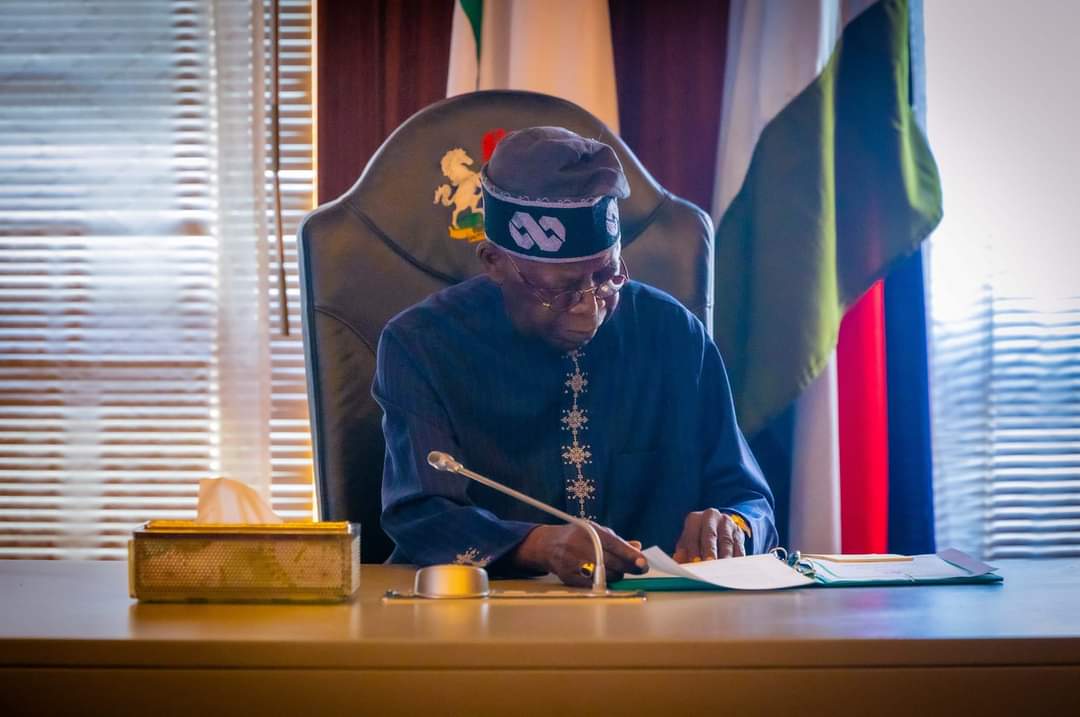 Nigeria at a crossroads: Tinubu’s Adviser defends reforms, calls for unity amid progress and pain