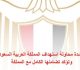 Egypt condemns attempted drone attack targeting Saudi Arabia