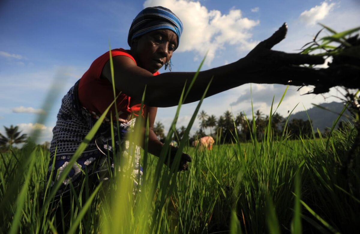 Africa’s fastest-growing economies signal a new investment landscape