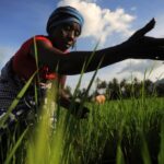 Africa's fastest-growing economies signal a new investment landscape