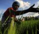 Africa’s fastest-growing economies signal a new investment landscape