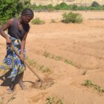 Africa wants Artificial Intelligence, it still needs Agriculture
