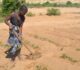 Africa wants Artificial Intelligence, it still needs Agriculture