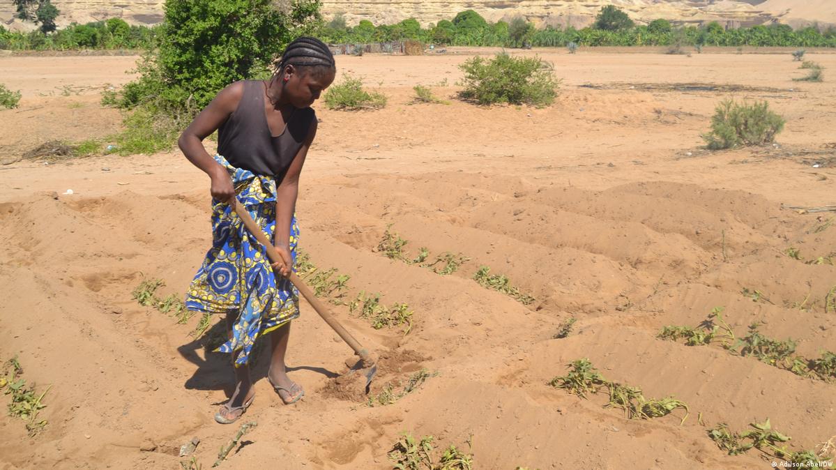 Africa wants Artificial Intelligence, it still needs Agriculture