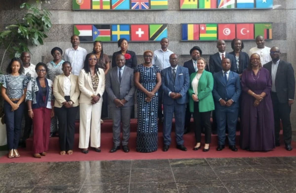 Africa’s tax gap puts gender reform at the centre of domestic revenue drive
