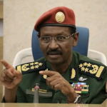Ethiopia accuses Egypt and Sudan of backing armed alliance as Tigray fighting intensifies